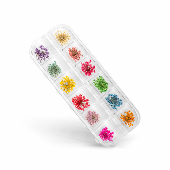 Box with dried flowers for Nail Art - 12 colors